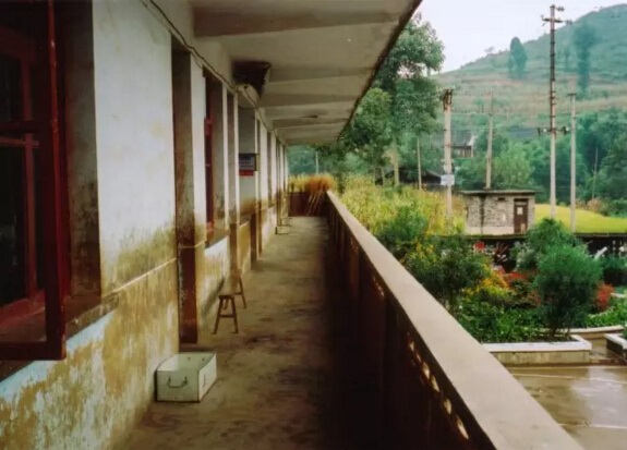 中桥村天威助学长征苗圃希望小学
