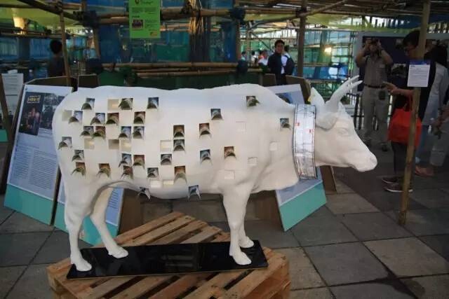 天威3d打印 等比例 克隆牛